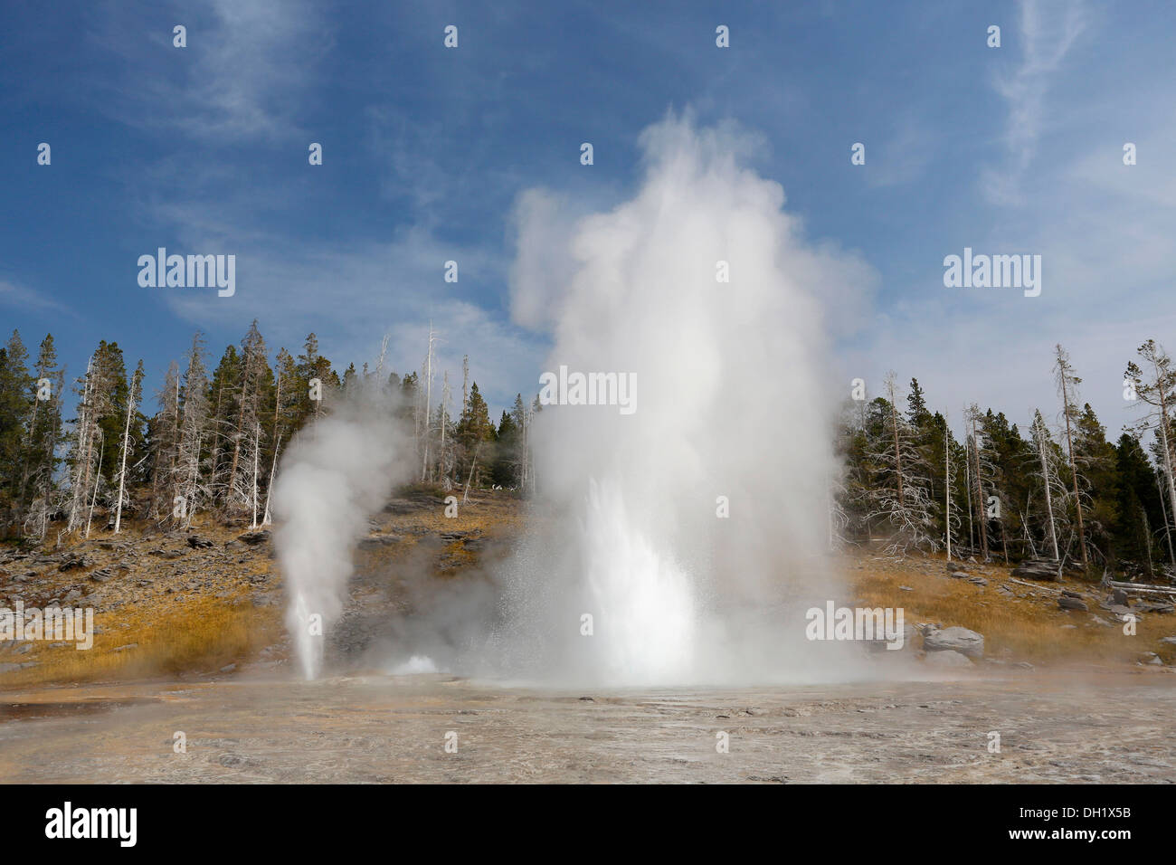 Grand Geyser d'éruption, le Parc National de Yellowstone, Wyoming, USA Banque D'Images