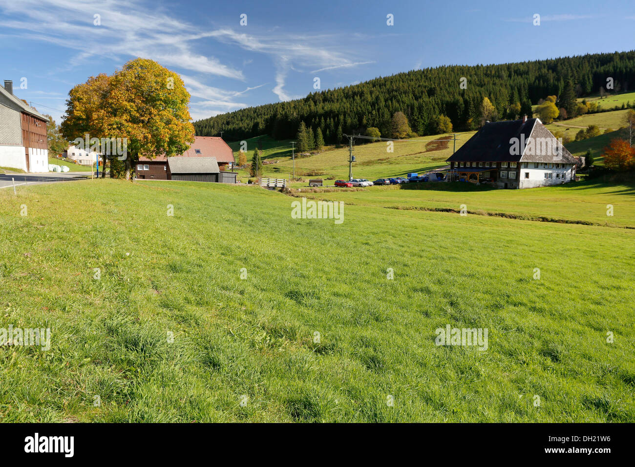 Paysage à Urach, Urachtal, vallée de la Forêt-Noire, Bade-Wurtemberg Banque D'Images