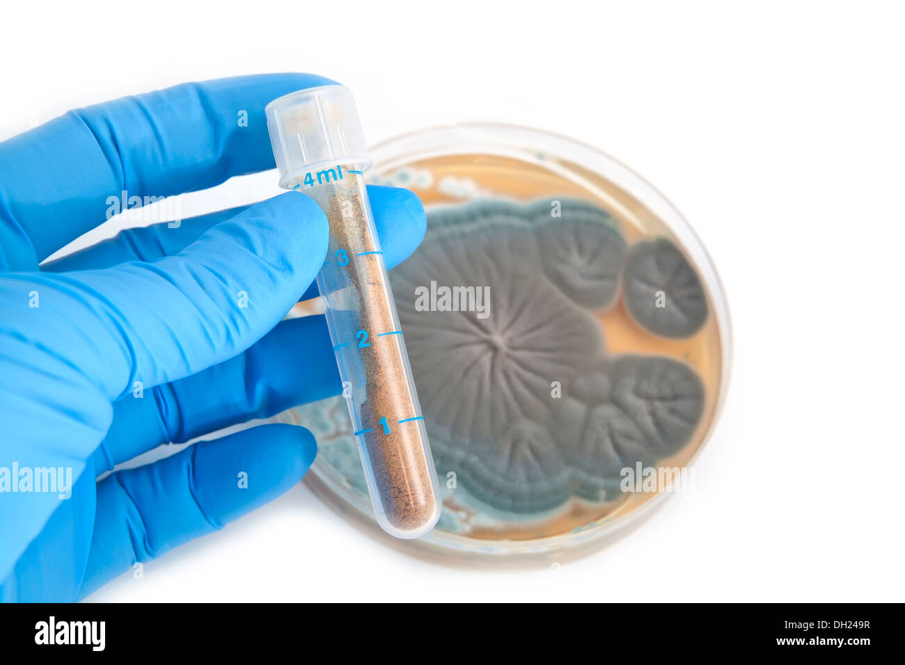 Antibiotiques dans le tube et champignons Penicillium sur fond blanc Banque D'Images