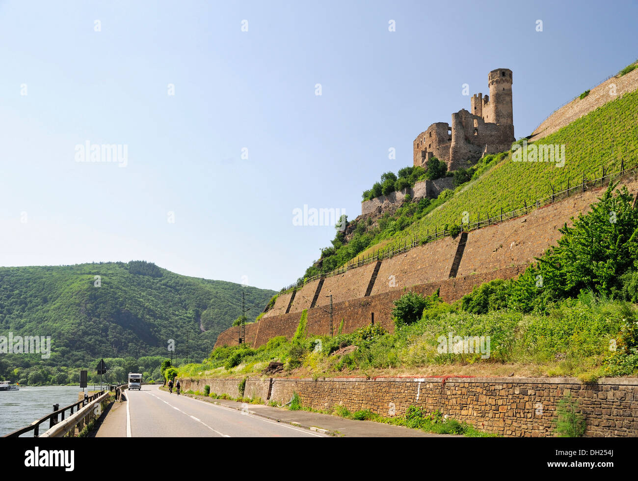 Le Château d'Ehrenfels, Assmannshausen, Ruedesheim, Vallée du Haut-Rhin moyen, un site classé au Patrimoine Mondial, Hesse Banque D'Images