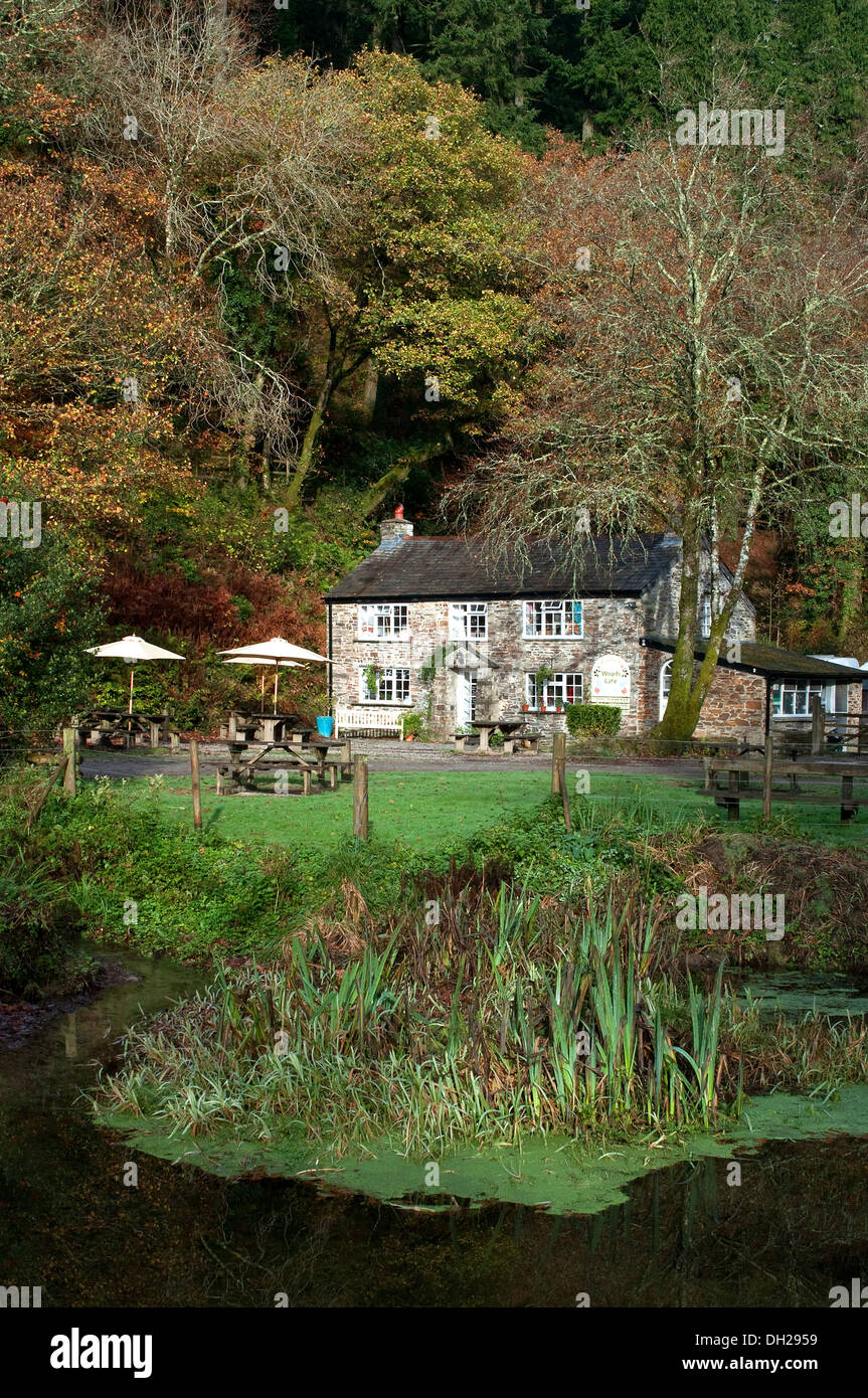 Le cafe à cardinham woods près de Bude, Cornwall, uk Banque D'Images