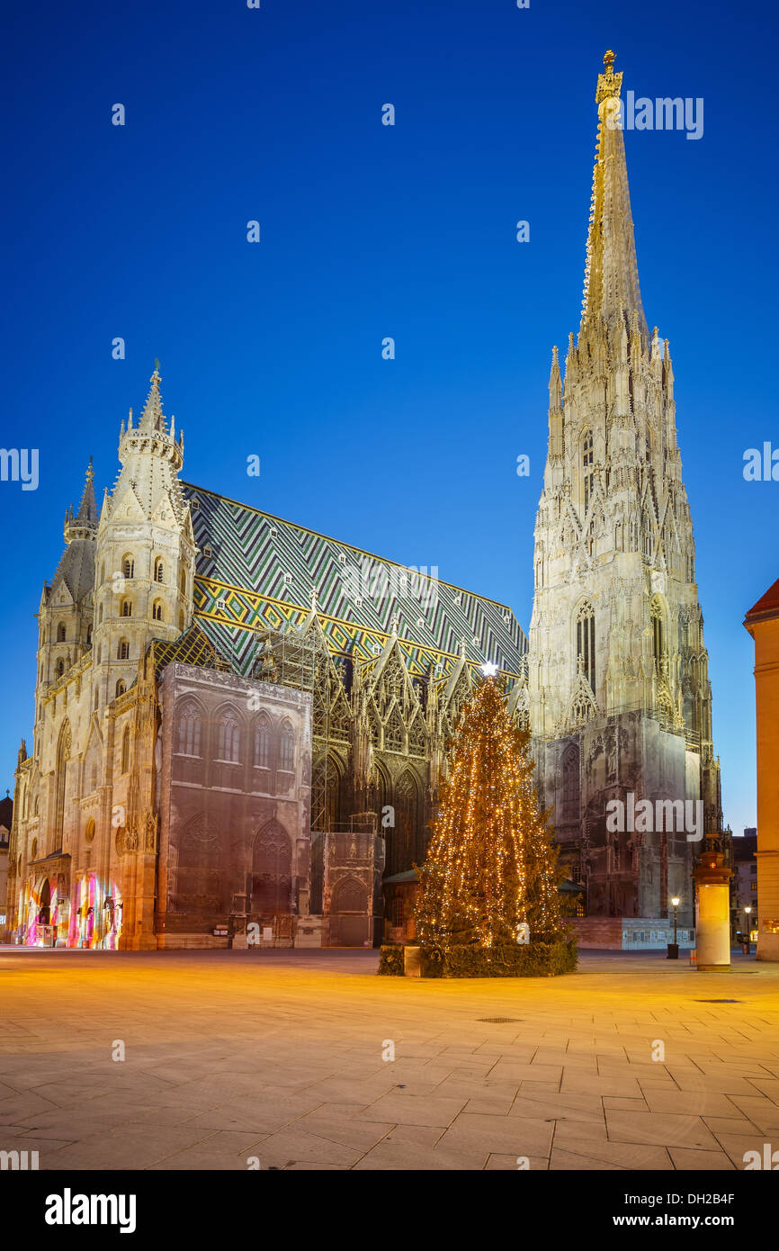 La cathédrale Saint-Étienne et l'arbre de Noël Banque D'Images