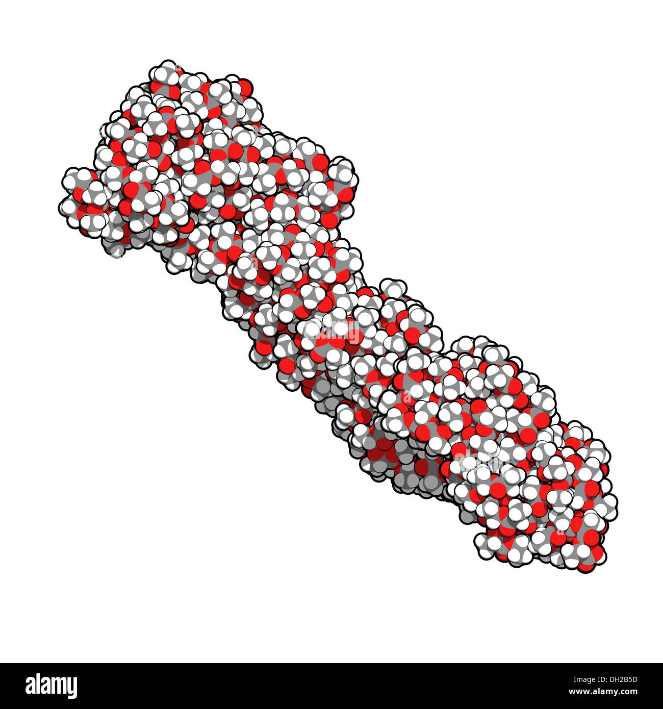 L'acide polylactique (PLA polylactide), bioplastique, structure chimique. Compostable polymère utilisé dans les implants médicaux, etc Banque D'Images
