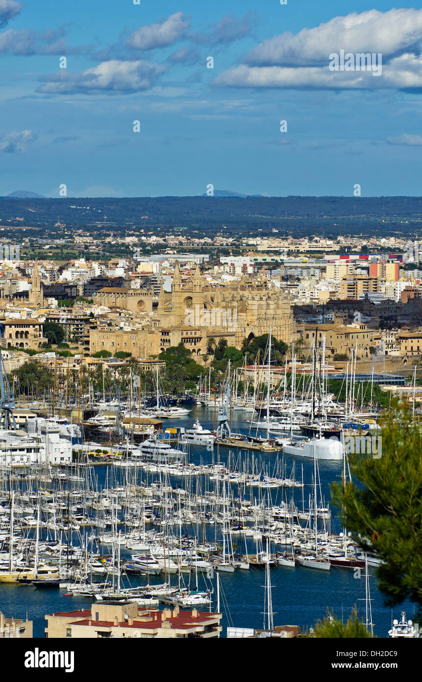 Vue depuis le château de Bellver, château de Bellver, à la vieille ville de Palma de Majorque avec La Seu Banque D'Images