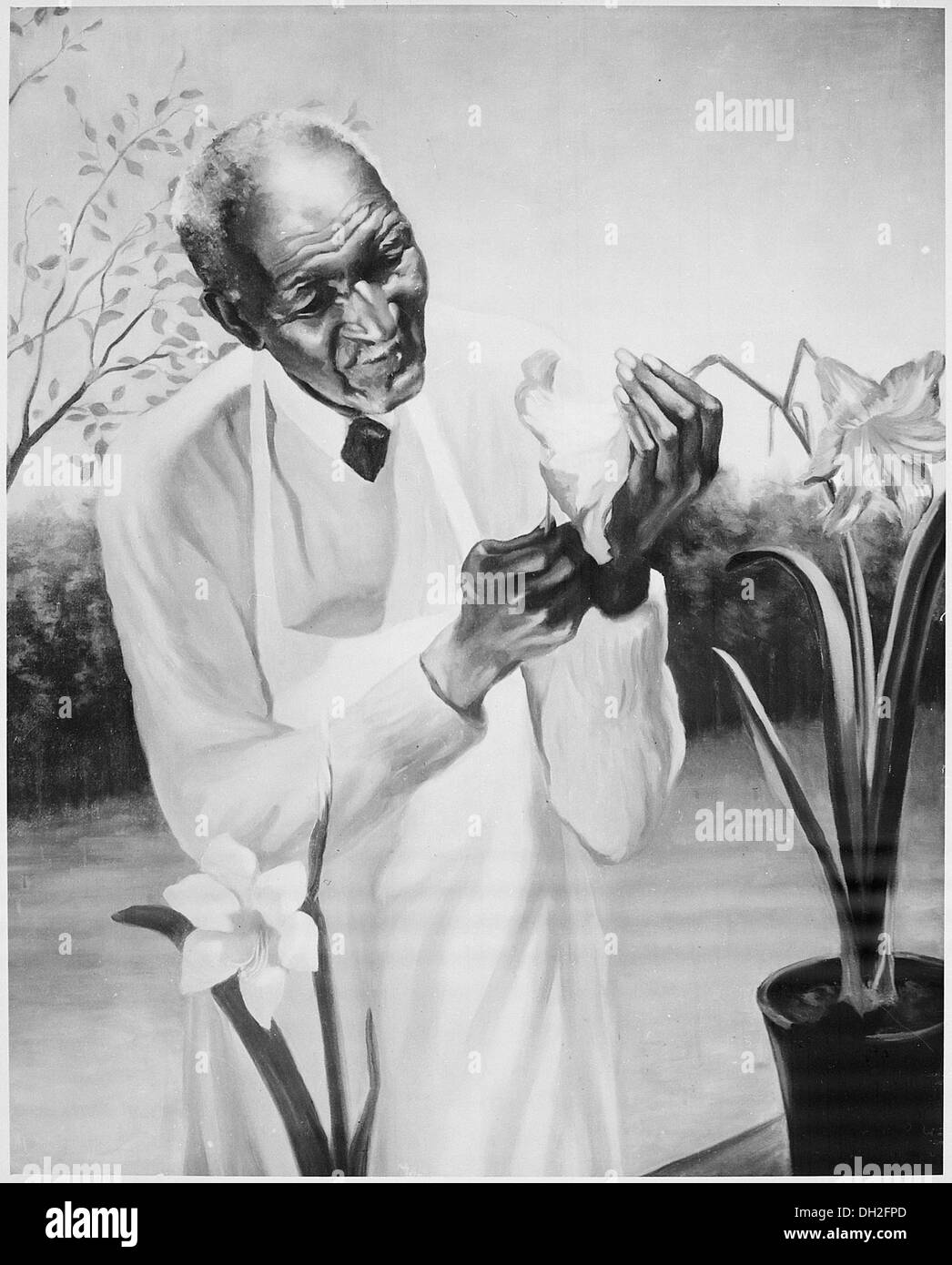 Une photographie de George Washington Carver, un scientifique agricole américain influent, inventeur et éducateur connu pour son travail avec les arachides et la rotation des cultures. Banque D'Images Une photographie de George Washington Carver, un scientifique agricole américain influent, inventeur et éducateur connu pour son travail avec les arachides et la rotation des cultures. Banque D'Images