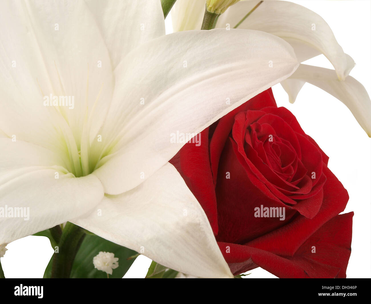 Arrangement floral - lily et rose rouge Banque D'Images
