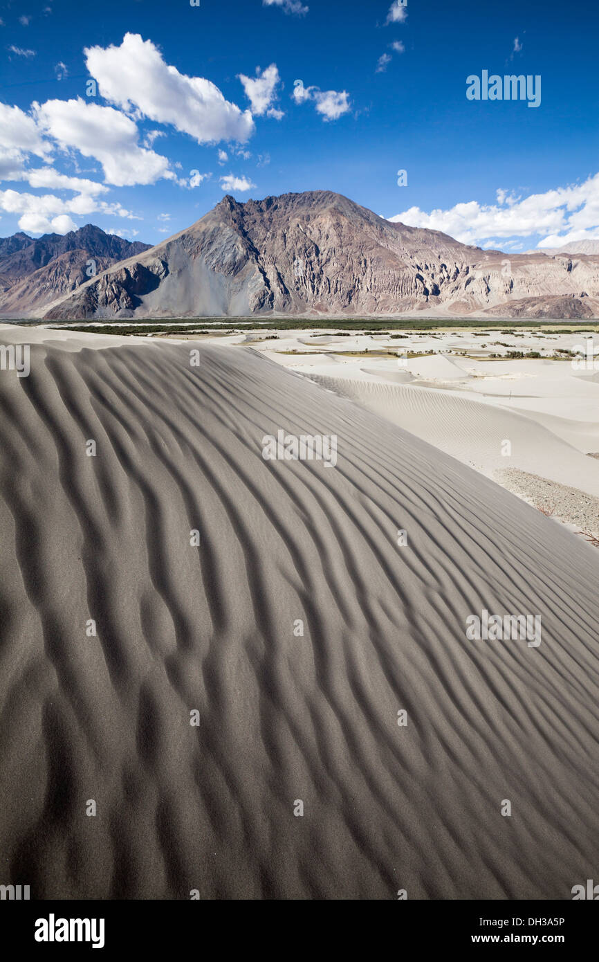 Dunes de sable près du village de Hunder, vallée de Nubra, Ladakh, Nord de l'Inde Banque D'Images