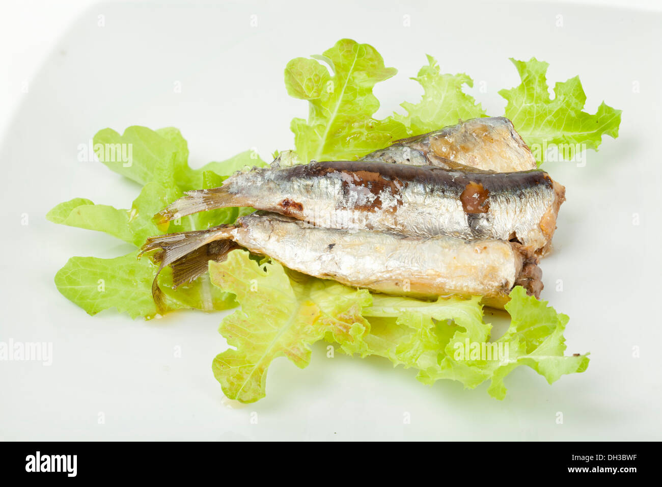 Sardines sur un fond blanc et salade verte Banque D'Images Sardines sur un fond blanc et salade verte Banque D'Images