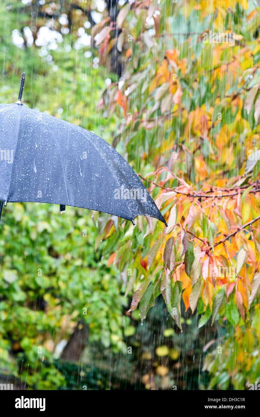 Un détail de parapluie noir sous la pluie Banque D'Images