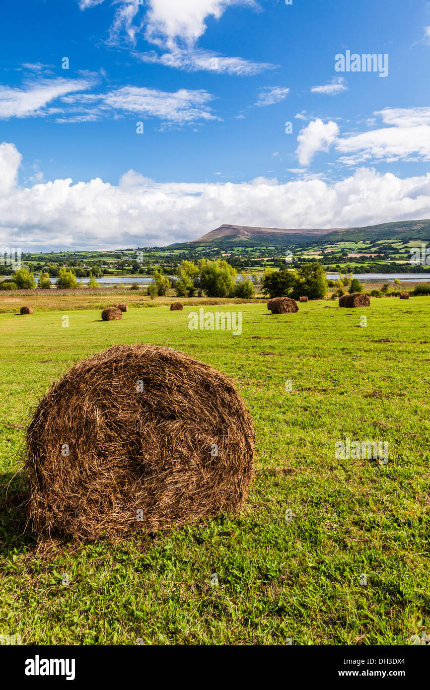 Vue sur les Brecon Beacons sur Llangorse Lake. Banque D'Images