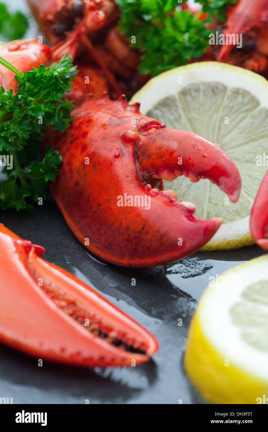 Préparé le homard frais servi avec du persil et du citron. Banque D'Images