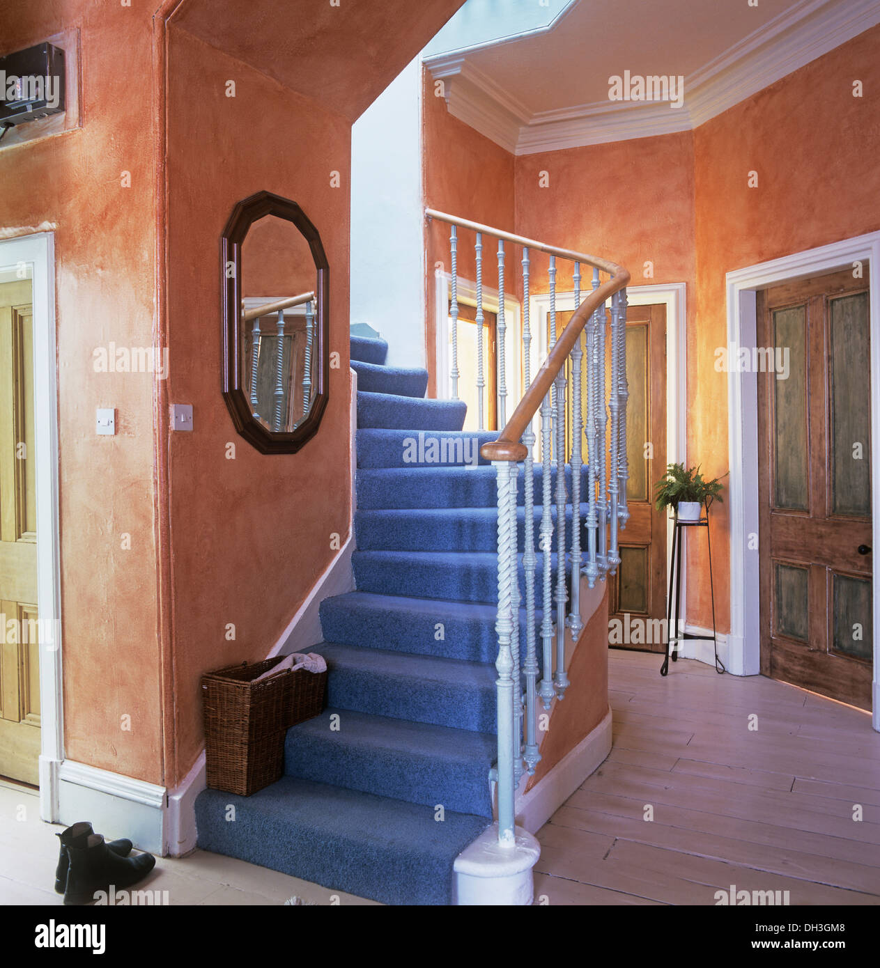 Tapis bleu sur l'escalier dans l'éponge orange pâle effet hall avec sol en bois peint. Banque D'Images