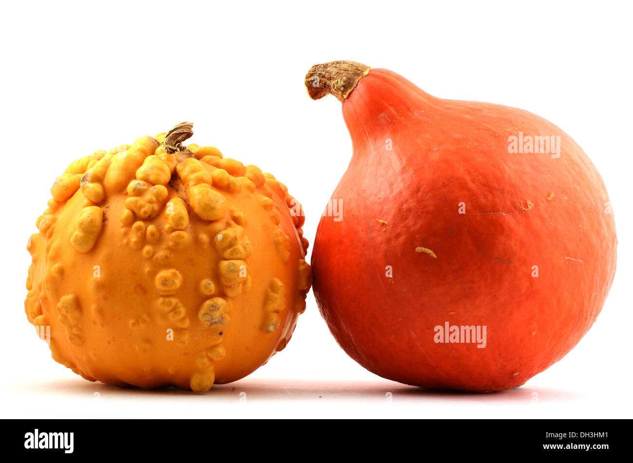 Citrouille rouge et jaune sur fond blanc Banque D'Images