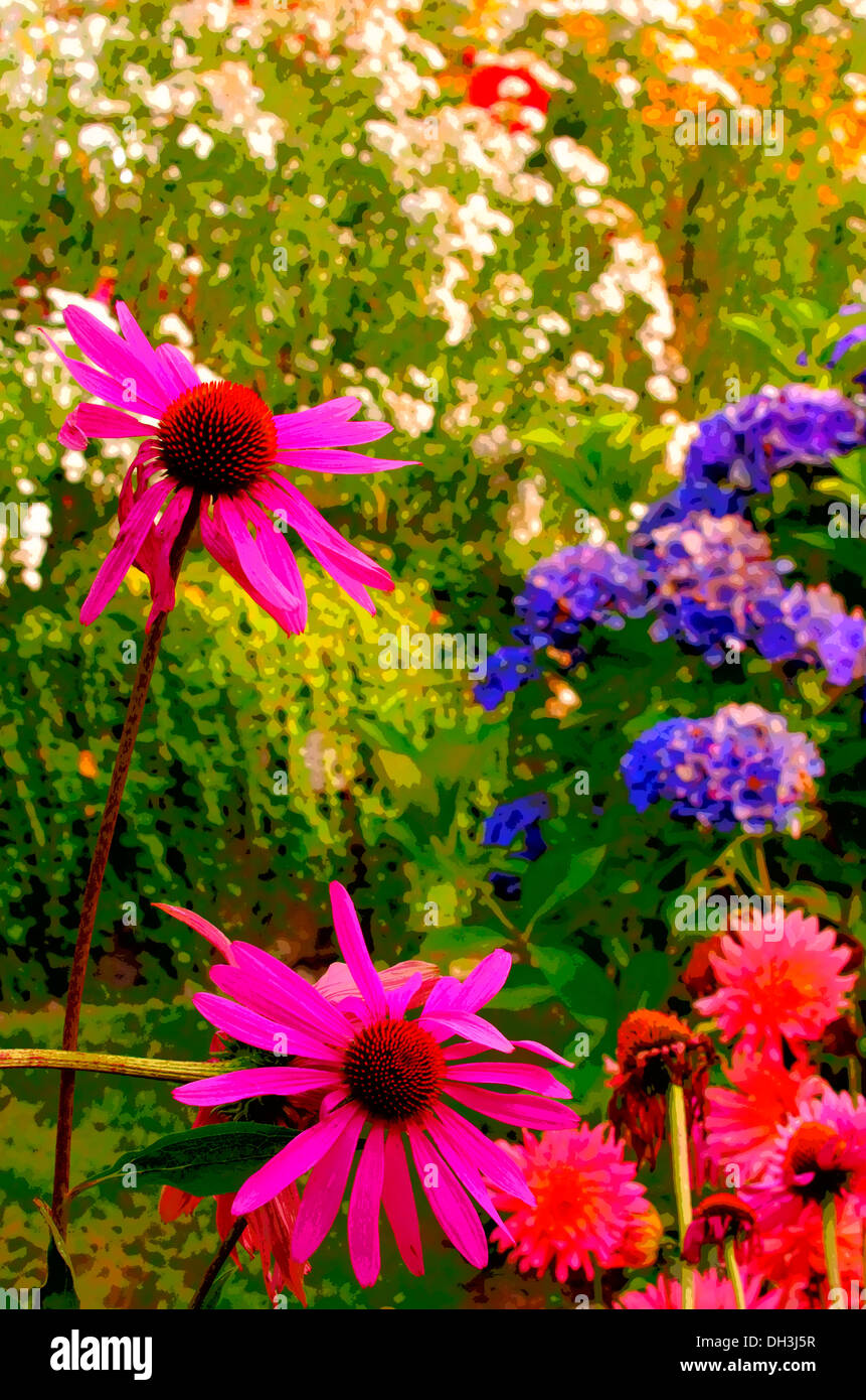Fleurs sauvages aux couleurs vives Banque D'Images