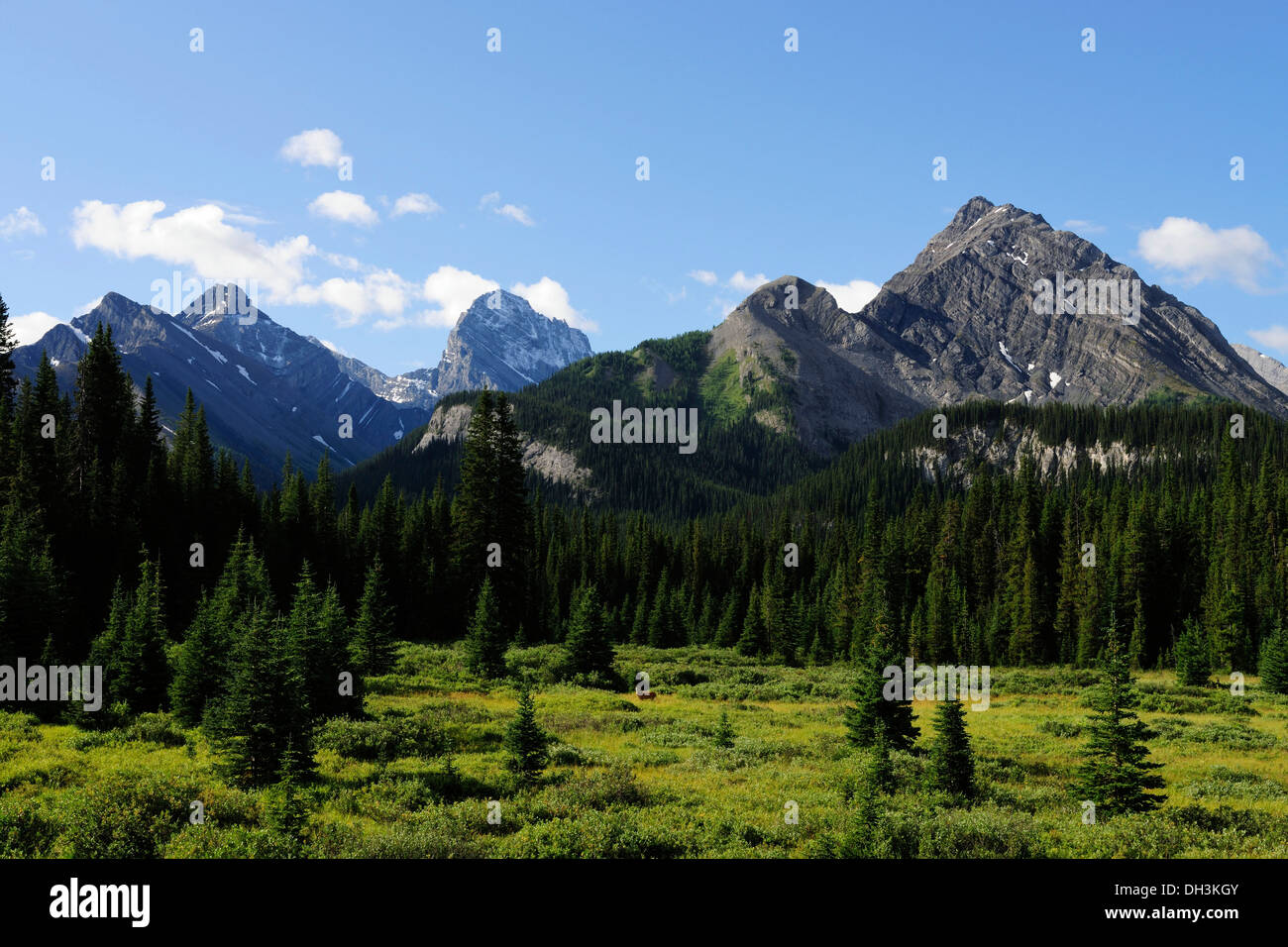 Montagnes de la contreforts orientaux des montagnes Rocheuses, dans la région de Kananaski Country, Alberta, Canada, Kananaskis Country, Canmore Banque D'Images