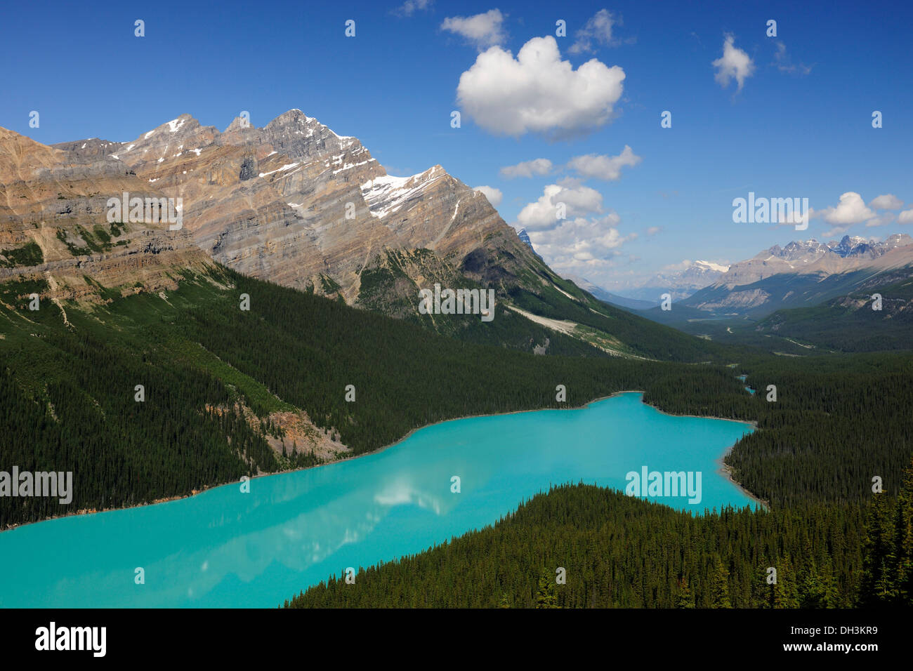 Le lac Peyto dans les montagnes Rocheuses, Banff National Park, Alberta, Canada Province Banque D'Images