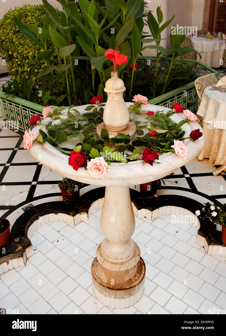 Roses Fontaine Restaurant Riad Marrakech Maroc Patio Jardin Banque D'Images