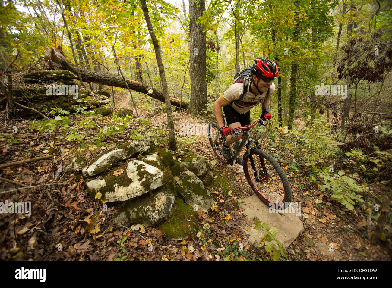 Une des promenades en vélo de montagne le long d'un sentier forestier à système soufflant Springs Park à Bella Vista, Arkansas. Banque D'Images