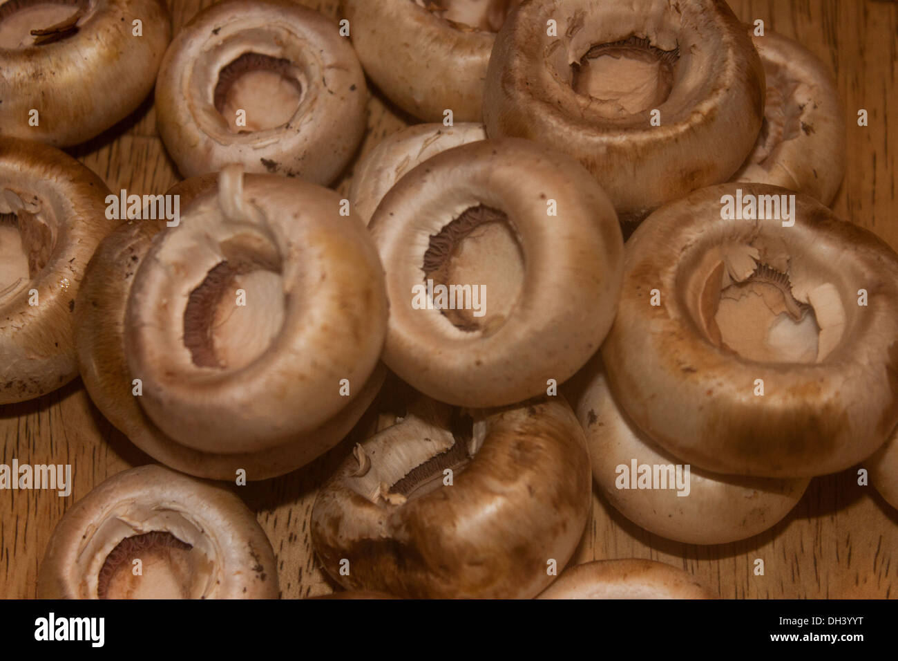 Clive certains chapeaux de champignons Banque D'Images