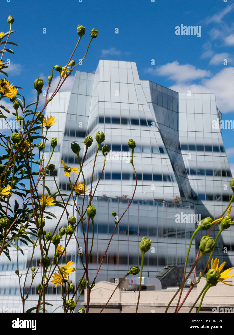 Bâtiment de Frank Gehry, le parc High Line, NYC Banque D'Images