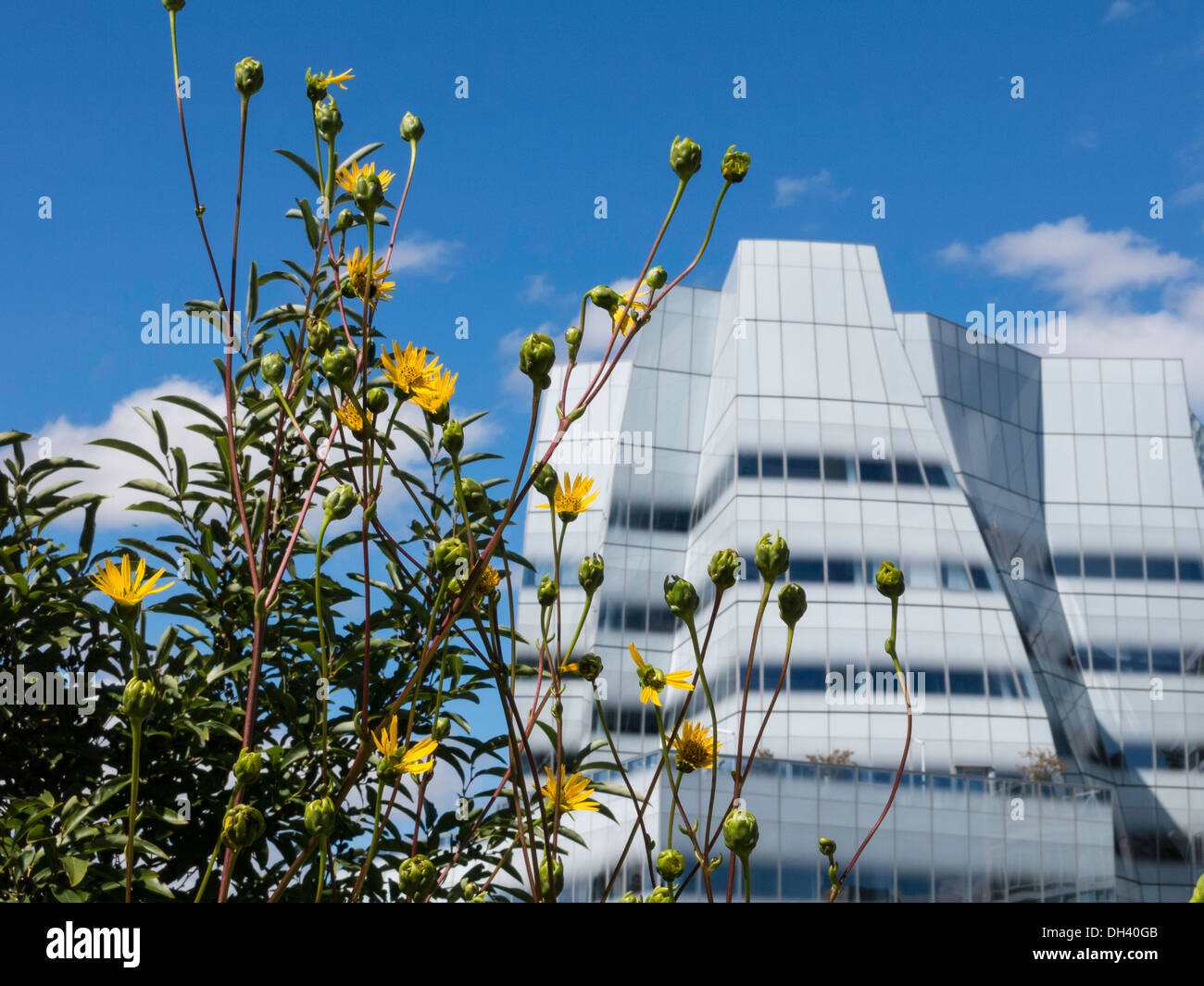 Bâtiment de Frank Gehry, le parc High Line, NYC Banque D'Images