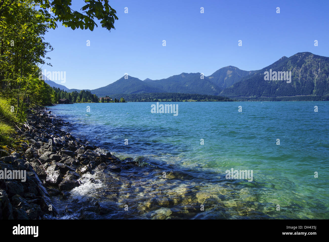 Blick auf den Walchensee, Tölzer Land, Isarwinkel, Bayern, Oberbayern, Deutschland Banque D'Images