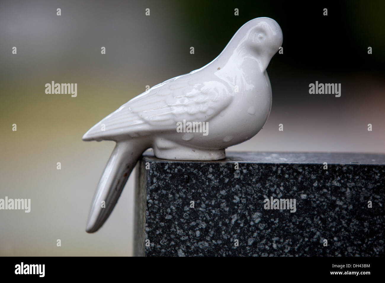Dove - figure sur une tombe du cimetière de Banque D'Images Dove - figure sur une tombe du cimetière de Banque D'Images