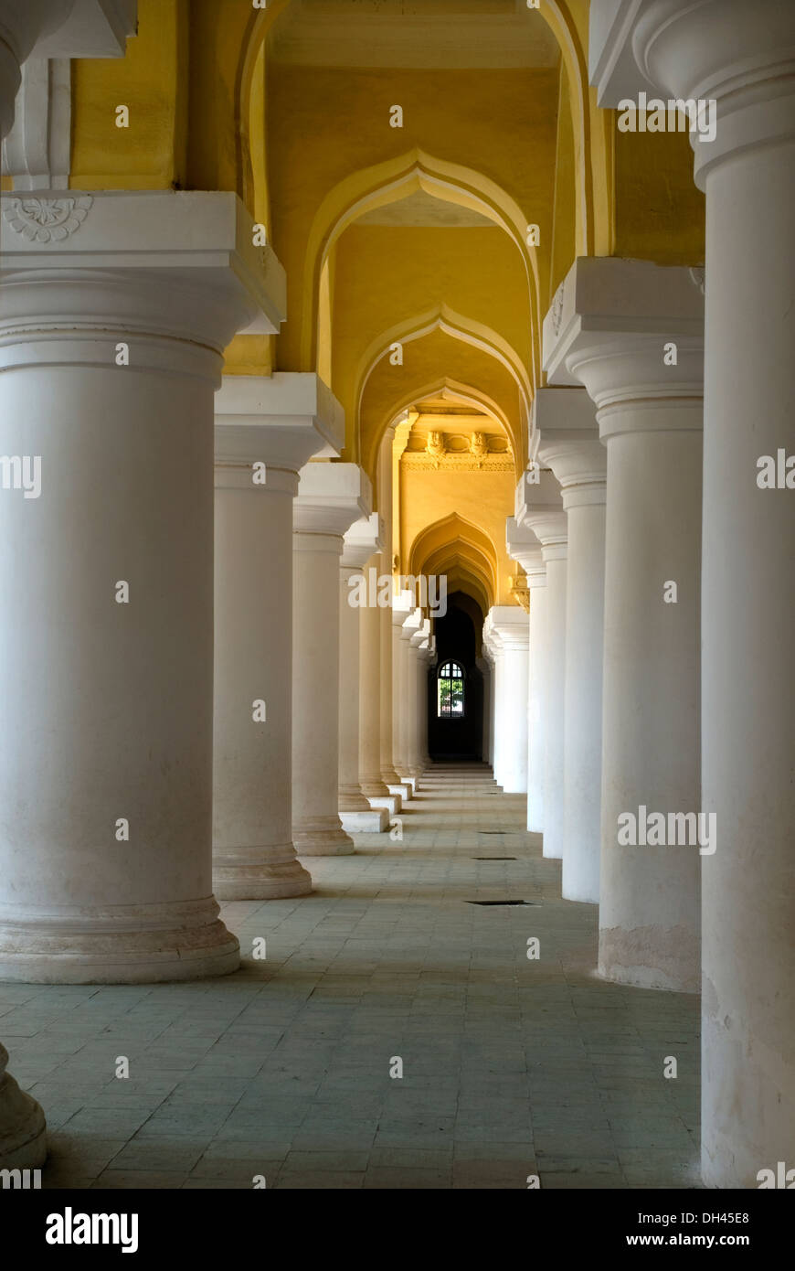 Piliers du Palais Thirumalai Naicker madurai tamilnadu Inde Banque D'Images