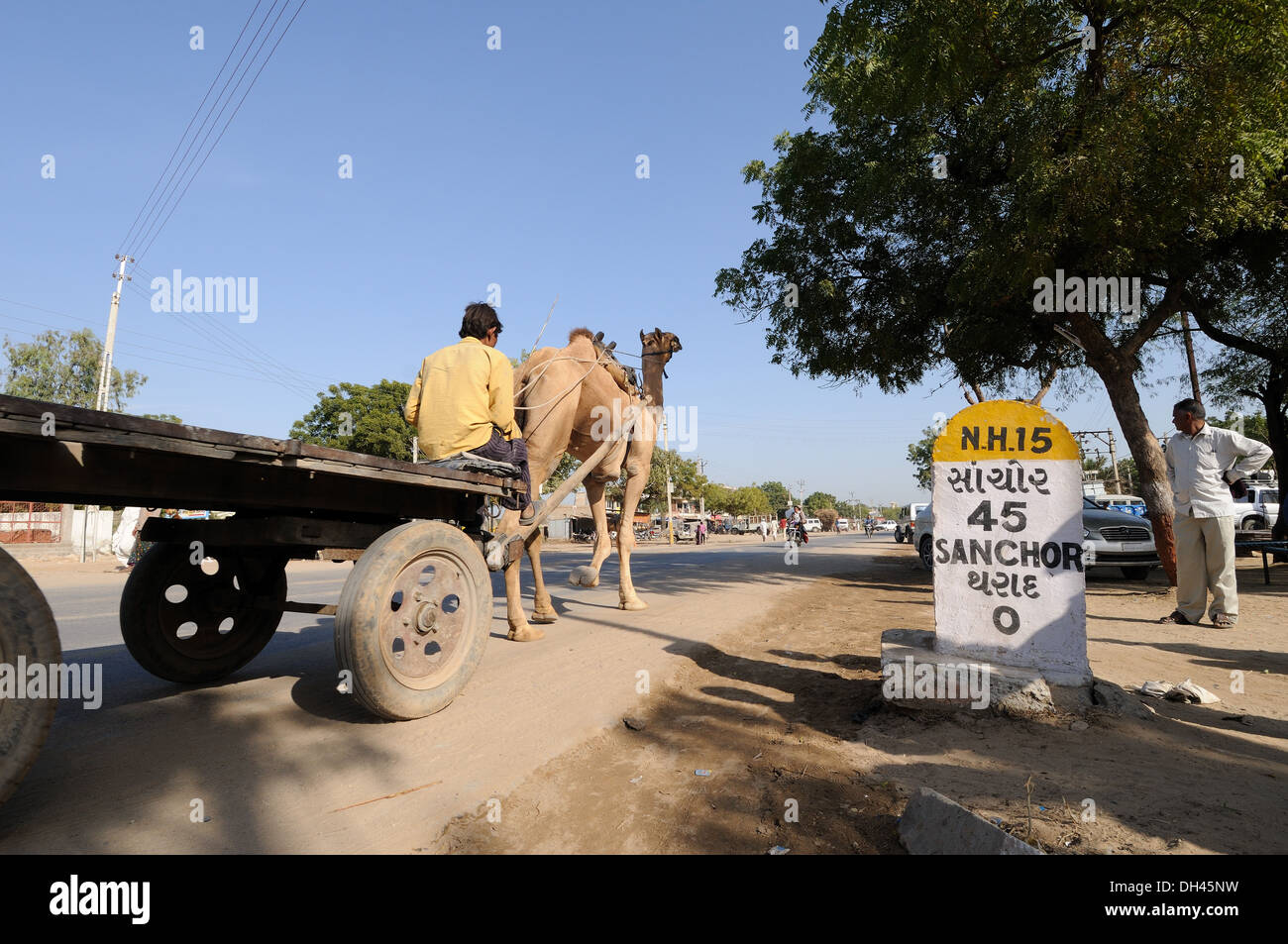 Panier chameau sur route à Sanchor à Dharad jalon village Gujarat Inde Banque D'Images