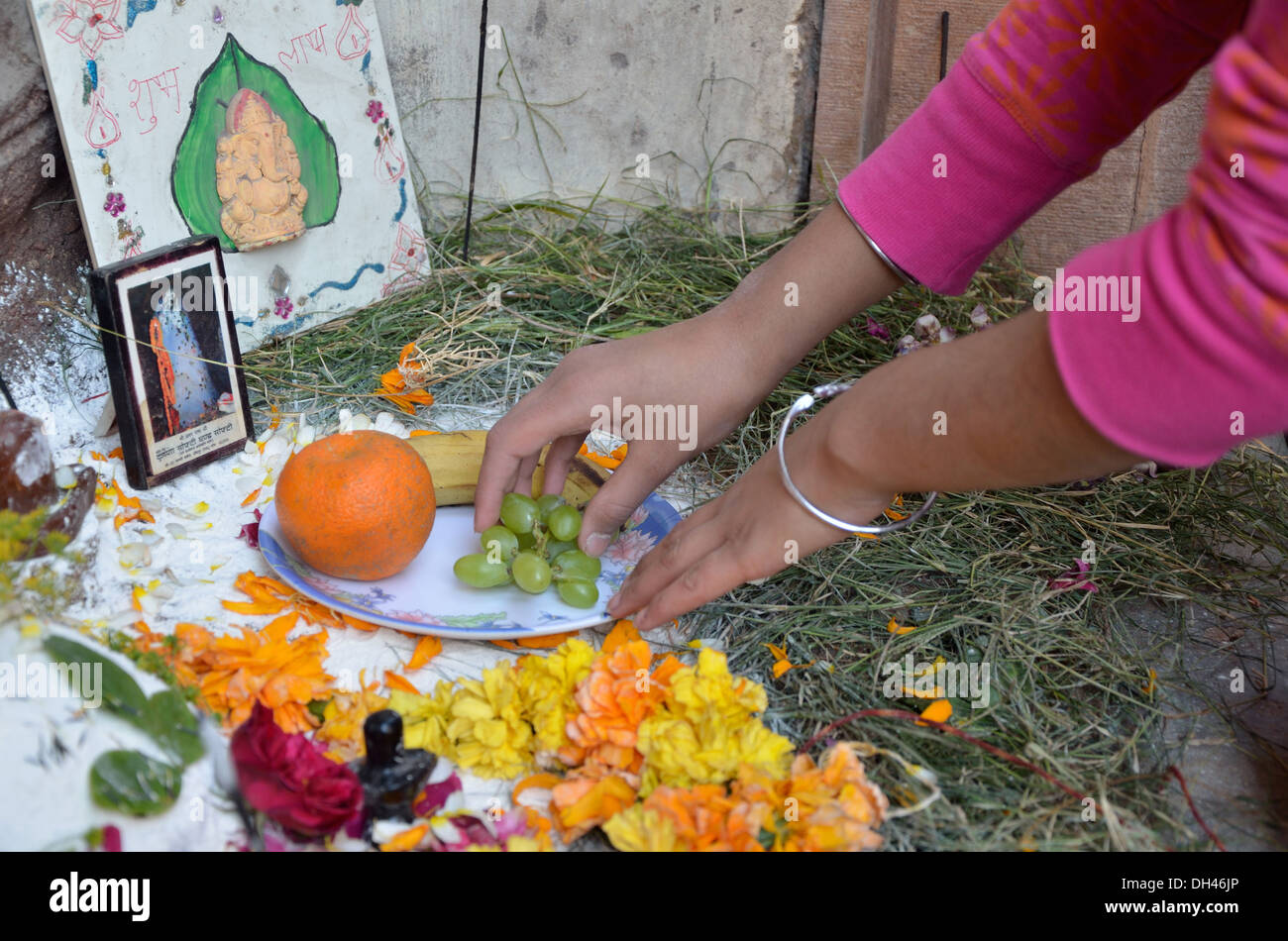 Offrant fruits fleurs orange raisins de Seigneur Shiva et Ganesh sur Shivratri Jodhpur Rajasthan Inde Asie festival Banque D'Images