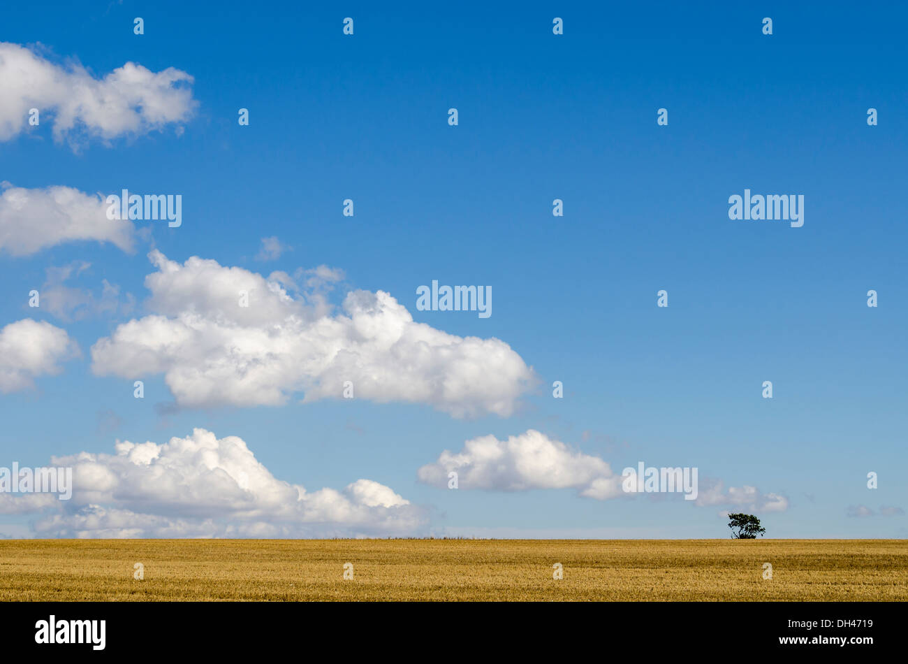 Nuages sur les terres agricoles à tree Banque D'Images