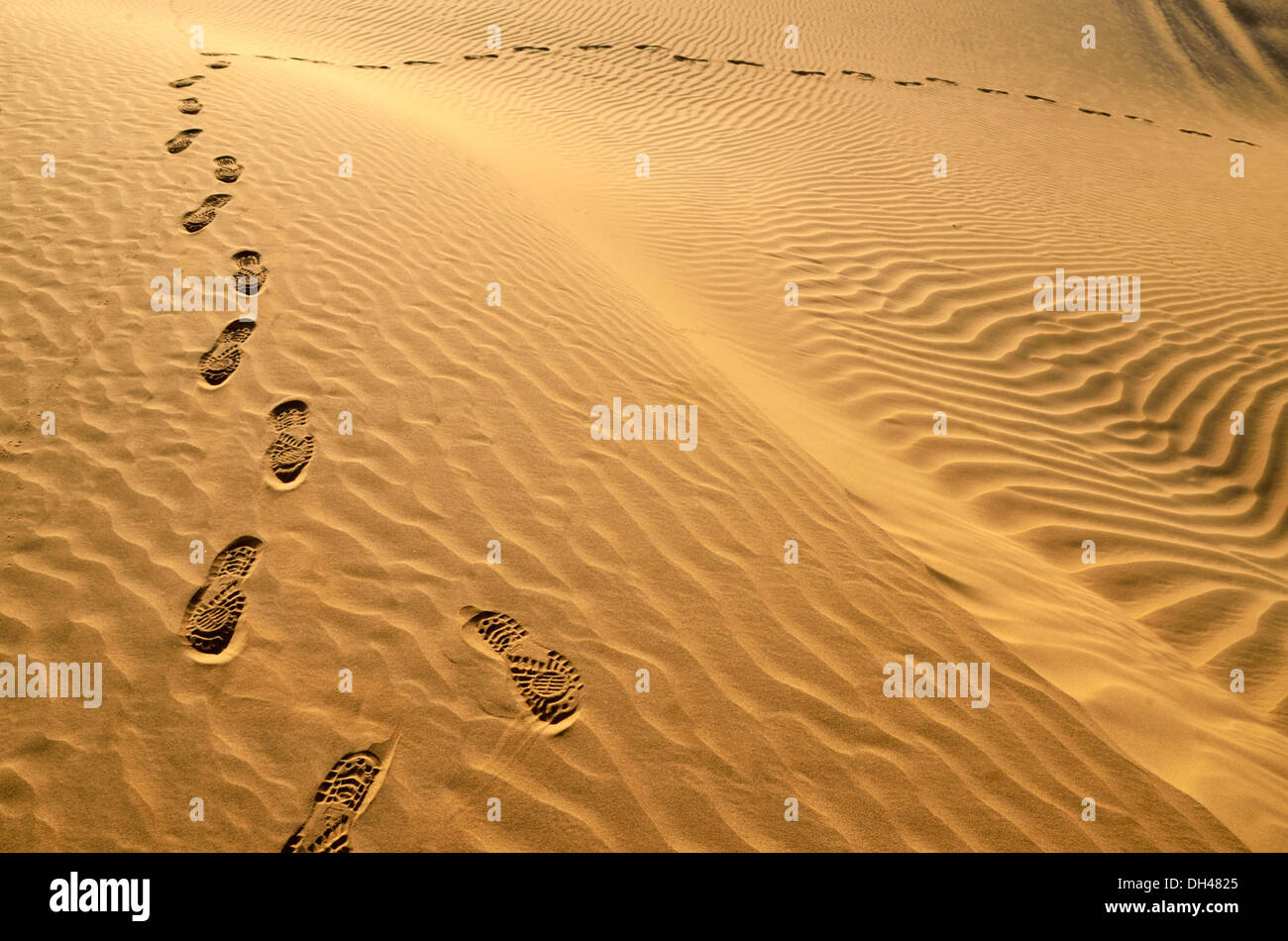 Empreintes de pieds de chaussures sur le sable du désert du Rajasthan Inde Asie Banque D'Images