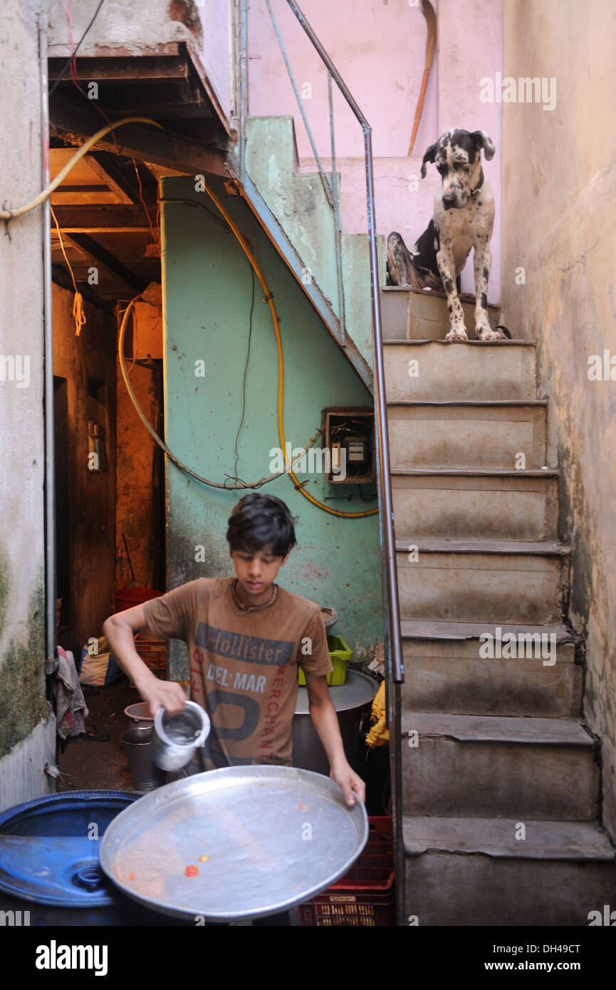 Téléchargement gratuit Images Chien De Travail Homme Regardant Etrange Drole Humour Humour dernière par
