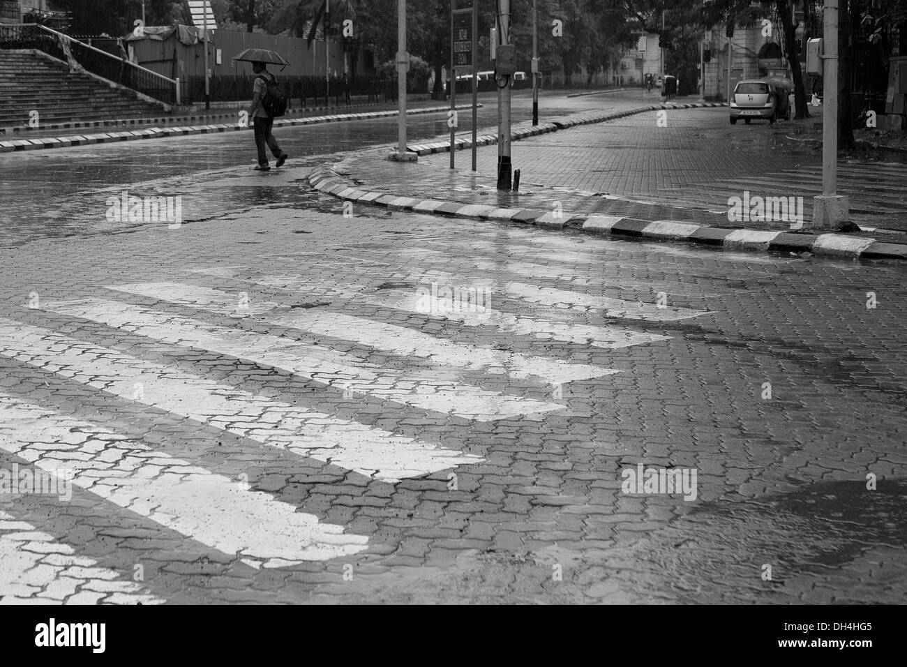Zebra Crossing Street Horniman Circle Road Mumbai Maharashtra Inde Menthe Asie Banque D'Images