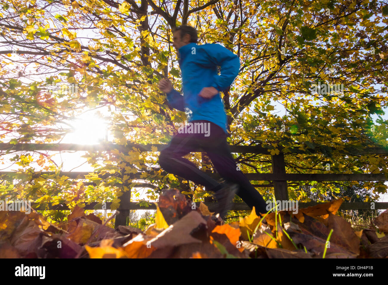 Man jogging à travers les feuilles d'automne. UK Banque D'Images