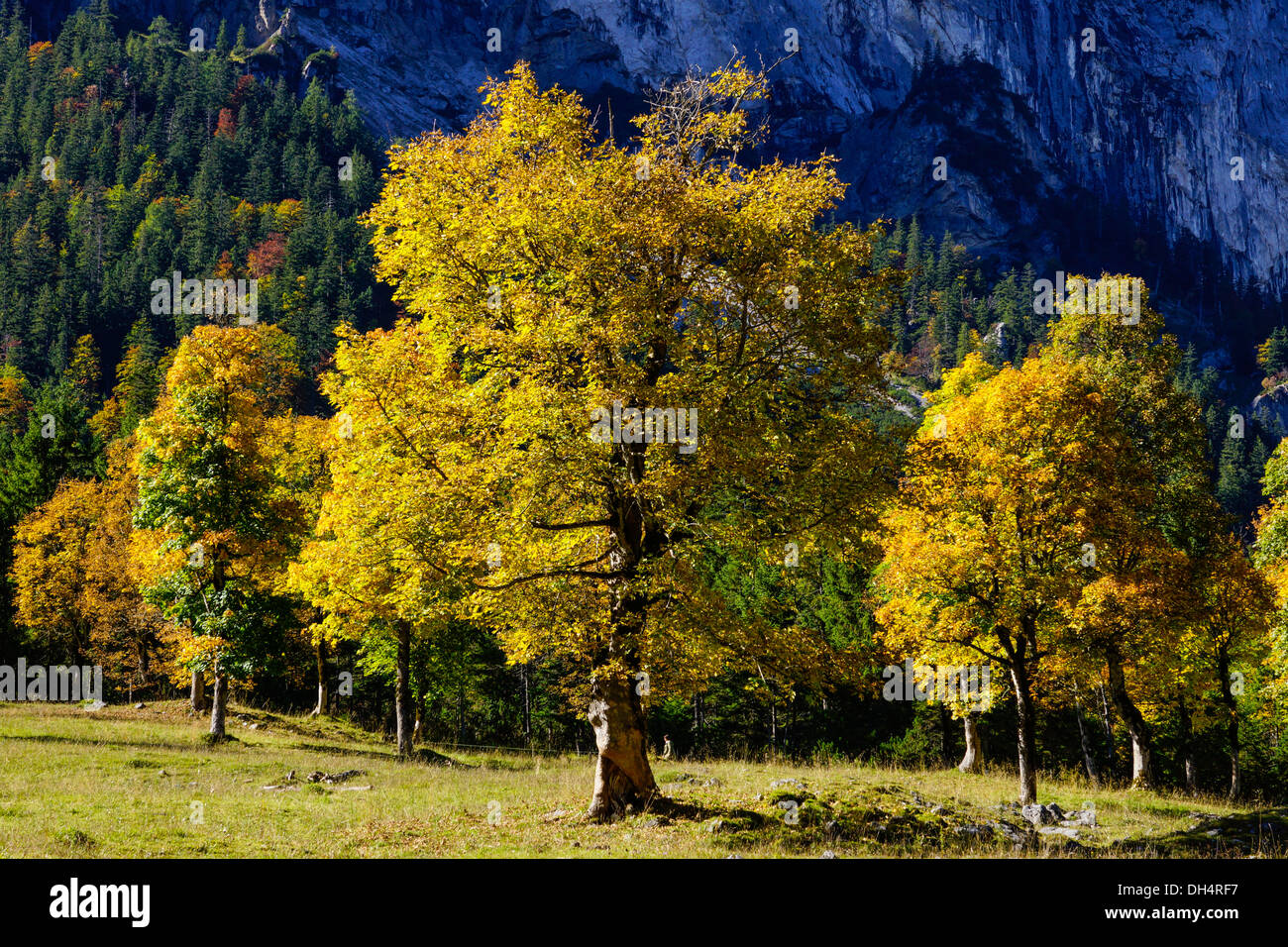 Grosser Ahornboden, Karwendel, Tirol, Autriche, Europe Banque D'Images