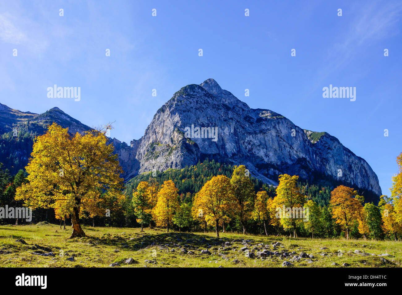 Grosser Ahornboden, Karwendel, Tirol, Autriche, Europe Banque D'Images