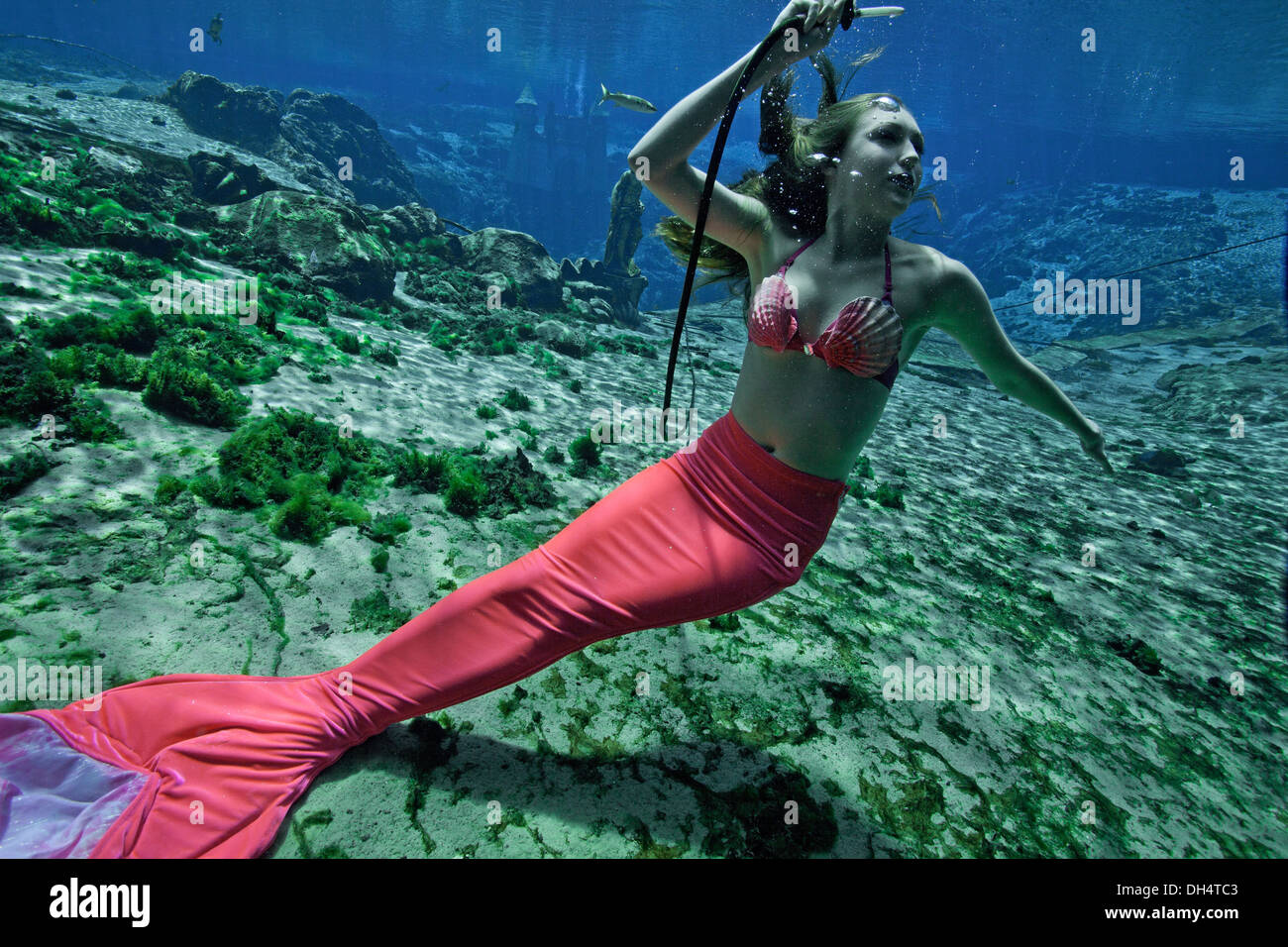 Mermaid Show à Weeki Wachee Springs, Floride Banque D'Images