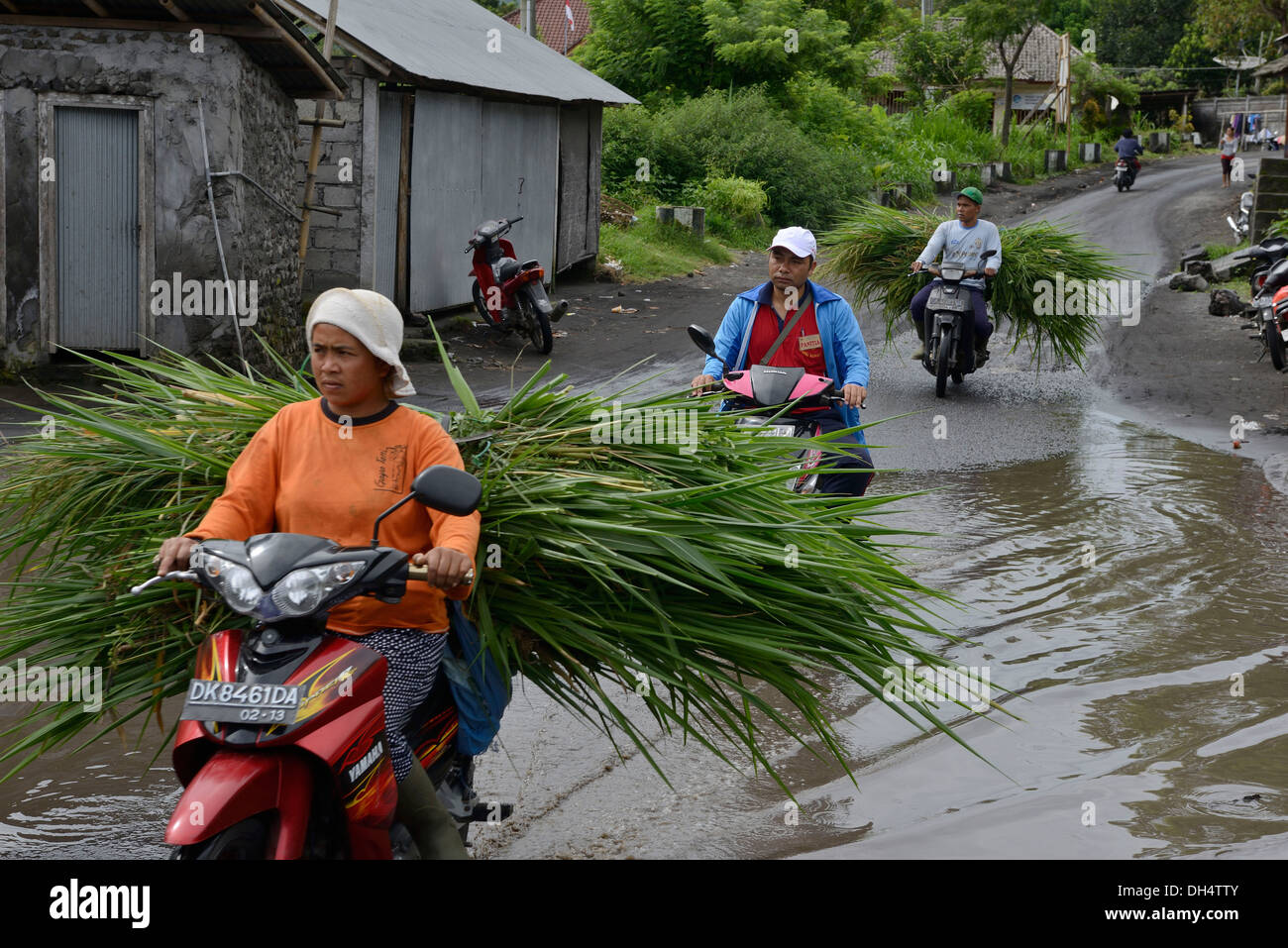 L'INDONÉSIE, Bali, Batur lake, à revenir sur le terrain après la pluie en moto locomotion Banque D'Images