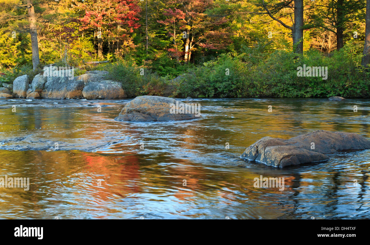 L'automne arbres se reflétant dans le calme de la rivière Moose, dans les montagnes de l'Adirondack de New York Banque D'Images