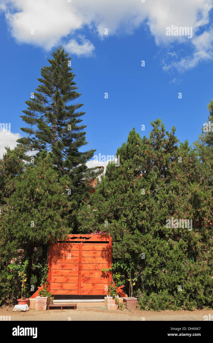 La porte en bois dans une couverture verte Banque D'Images