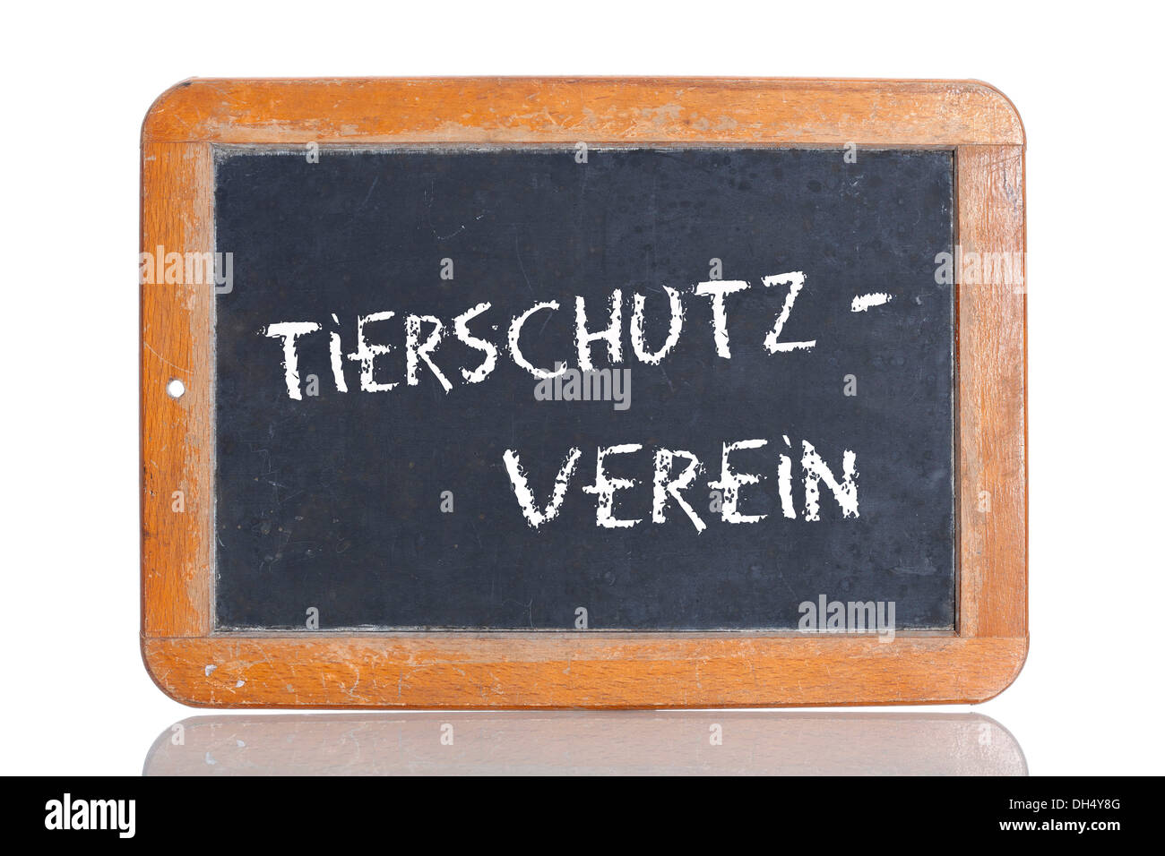 Ancienne école tableau noir avec le terme TIERSCHUTZVEREIN Allemand, association pour la protection des animaux Banque D'Images