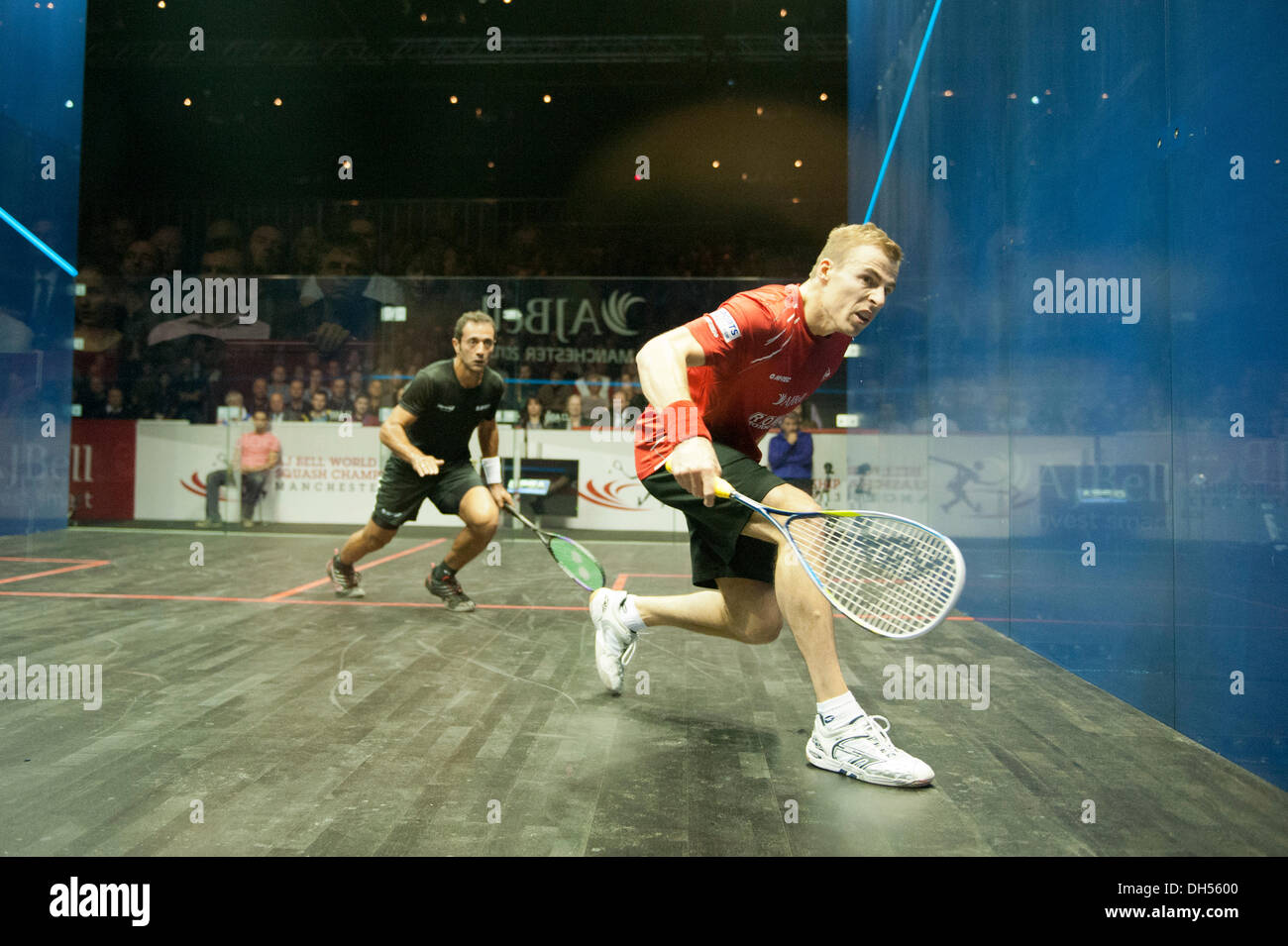 Manchester, UK. 31 octobre 2013. L'Angleterre Nick Matthew (classement mondial PSA Dunlop No4) a battu l'Égypte Amr Shabana (Dunlop du classement mondial PSA NO8) 3-0, après 43 minutes en quart de finale du Championnat du Monde de Squash AJ Bell à la Manchester Central. 11-8, 11-4, 11-7 Matthews prend sa place en demi-finale pour être joué le samedi 2 novembre. Credit : Russell Hart/Alamy Live News. Banque D'Images