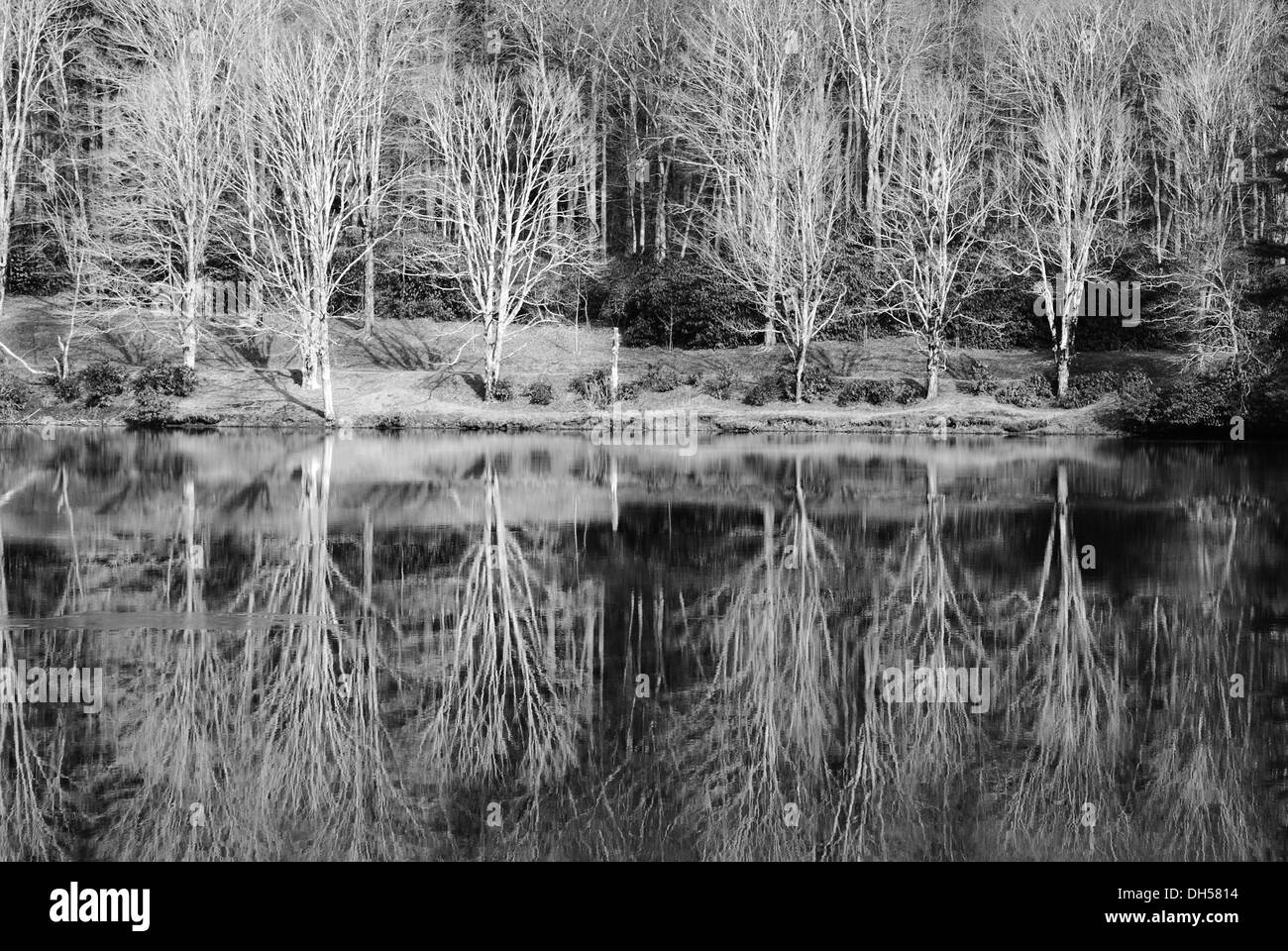 Photographie en noir et blanc d'un lac en hiver Banque D'Images