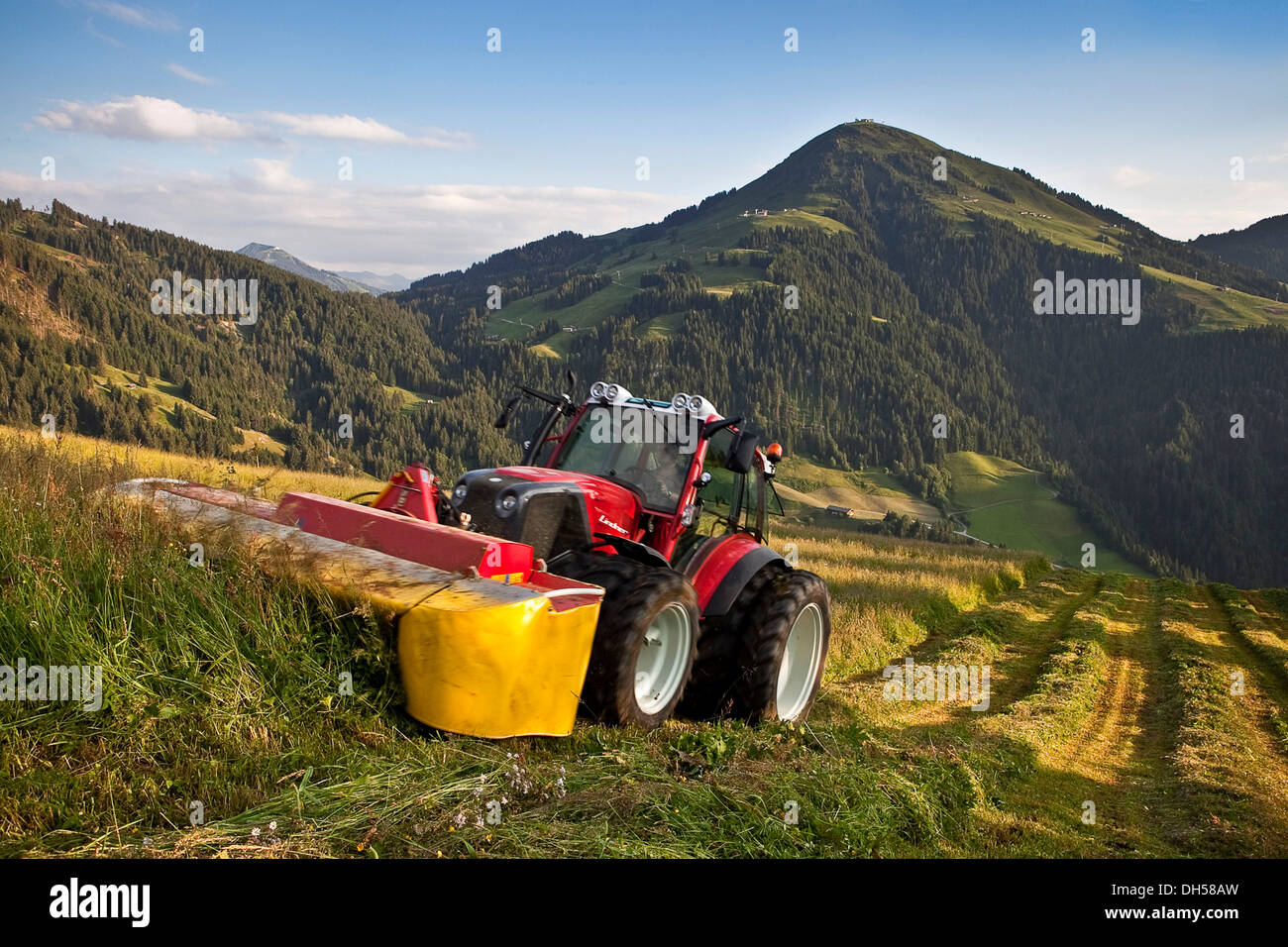 Le fauchage du foin, du tracteur Söll, district de Kufstein, Tyrol du Nord, Tirol, Autriche Banque D'Images