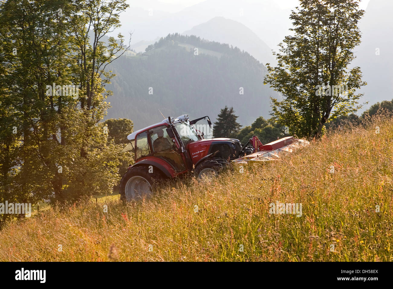 Le fauchage du foin, du tracteur Söll, district de Kufstein, Tyrol du Nord, Tirol, Autriche Banque D'Images