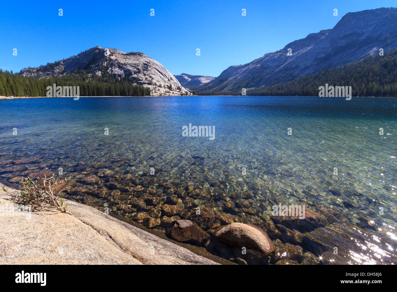 Yosemite National Park, Vue sur Lac Tenaya (Tioga Pass), Californie Banque D'Images