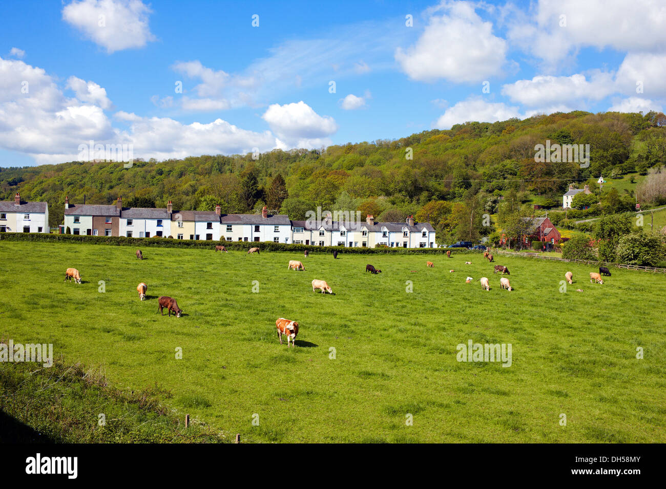 Vue sur les maisons dans la vallée de l'Esk près de Grosmont, prises d'un train sur le North York Moors railway Banque D'Images