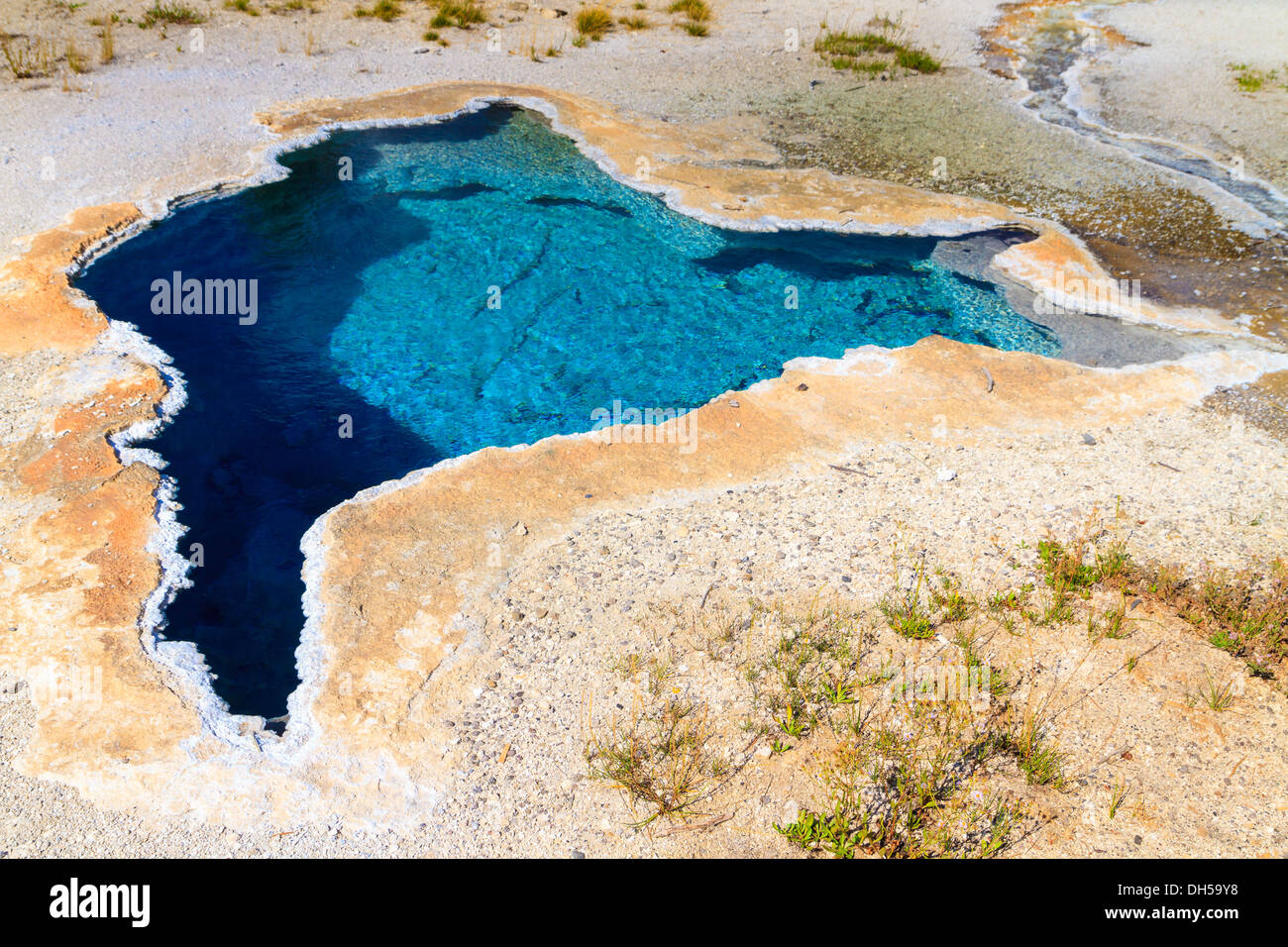 Le Parc National de Yellowstone, le Blue Star Geyser ressort en haut Geyser basin, Wyoming Banque D'Images