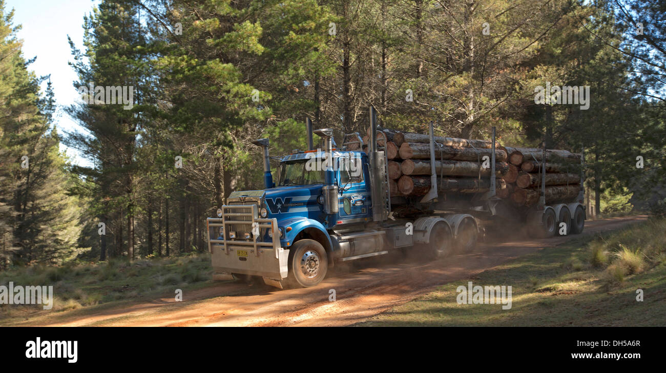 Camion chargé de grumes provenant de plantation forestière de voyager sur chemin de terre poussiéreux / voie à travers la forêt en NSW Australie Banque D'Images